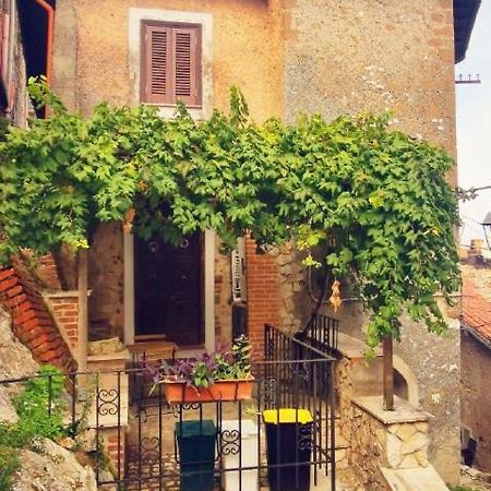 Casa Terrazza Villa Artena Bagian luar foto