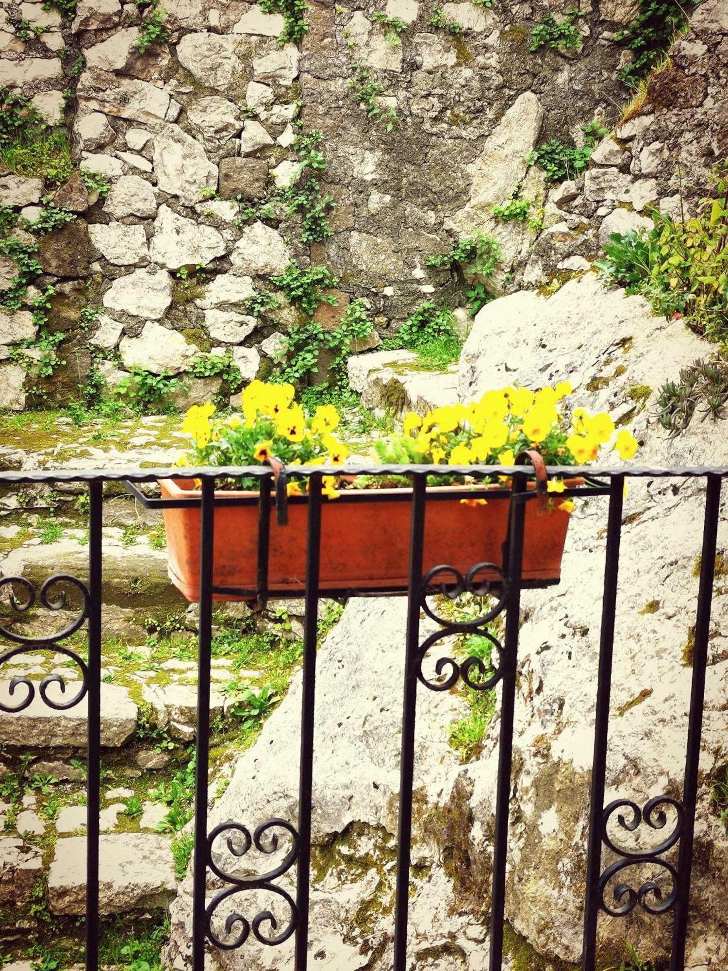 Casa Terrazza Villa Artena Bagian luar foto